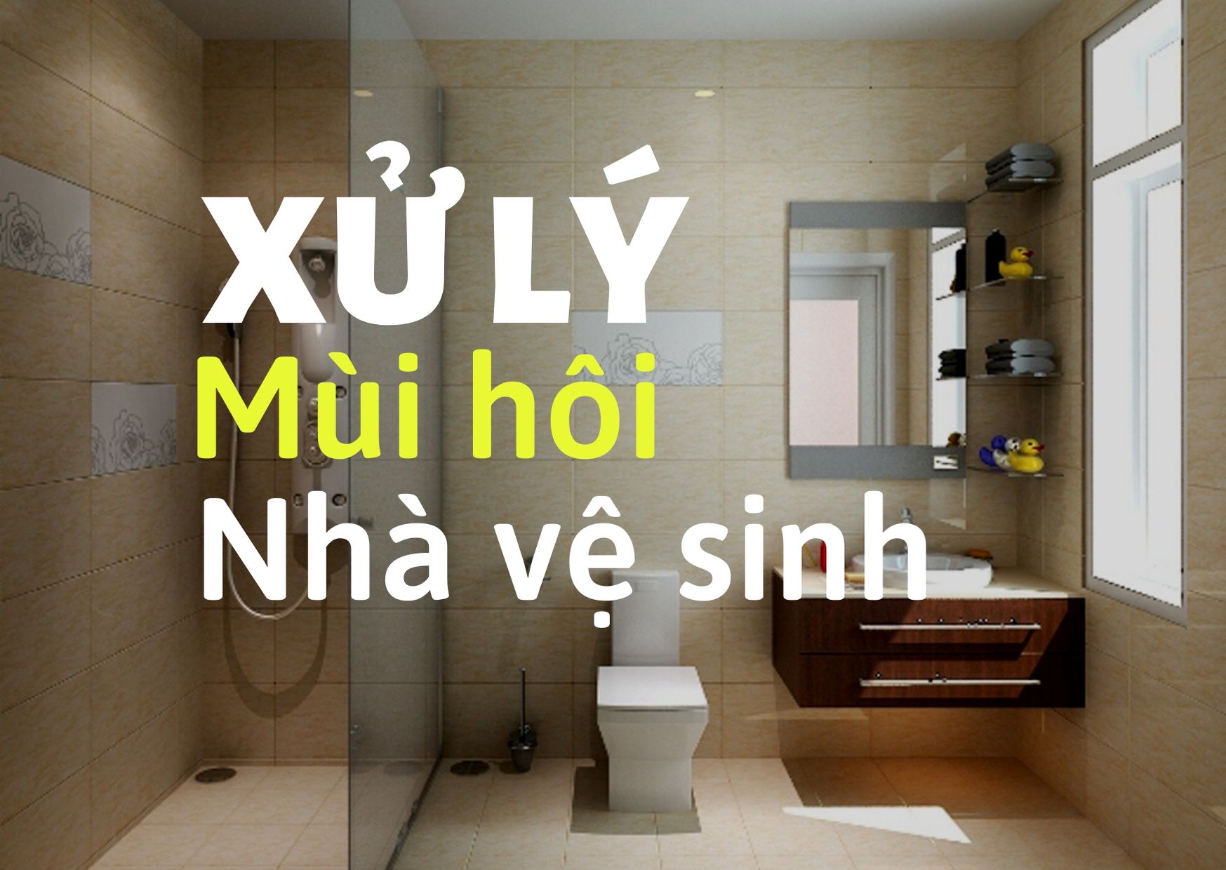 Mùi hôi trong nhà vệ sinh chung cư và cách xử lý | Viva House