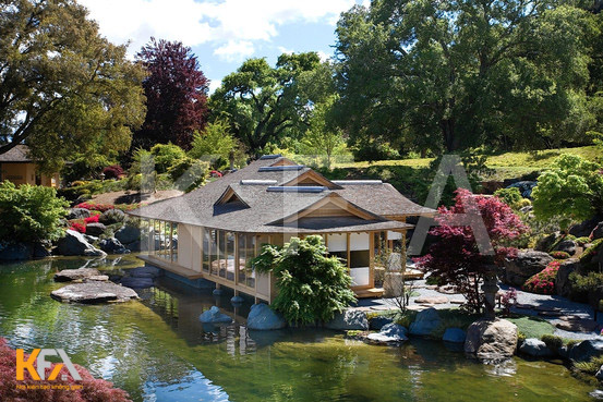 Ellison-Estate-California 5