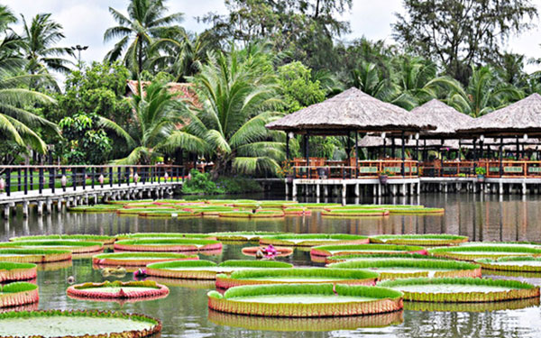 kdl-van-thanh-4454-1