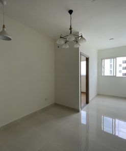 Thực tế bàn giao 49 và 51.85m2 Green Town Bình Tân